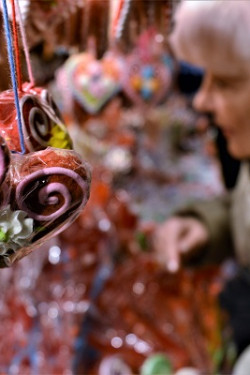 profesionalno fotografisanje